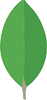 Mongo DB Logo